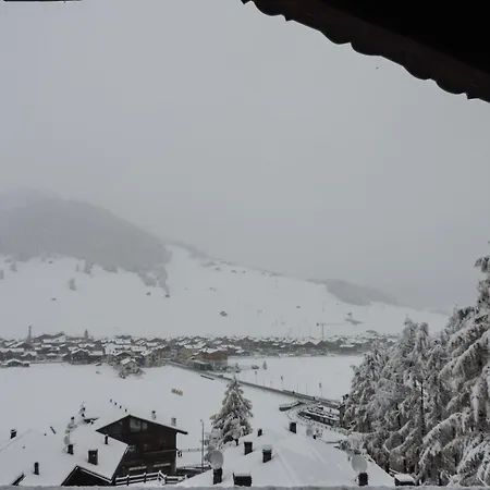 Silva: The Alpine