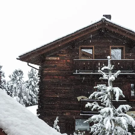 Silva: The Alpine Livigno